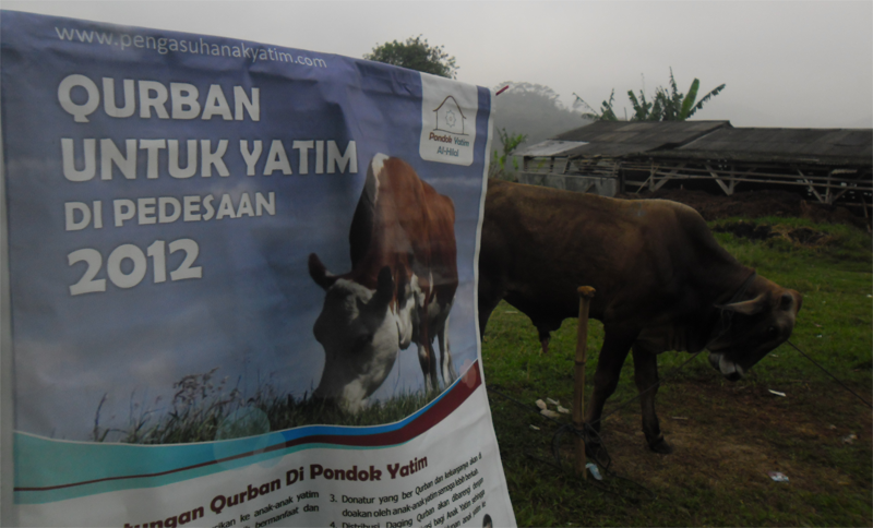 SEBAGIAN HUKUM QURBAN DAN SYARI’ATNYA
